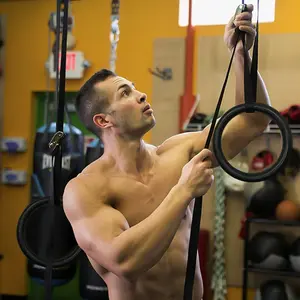 Abs Gymnastic Rings Set, Indoor Gym Fitness Rings, Exercise Rings for Home Use, Durable Workout Equipment, Perfect for Strength Training