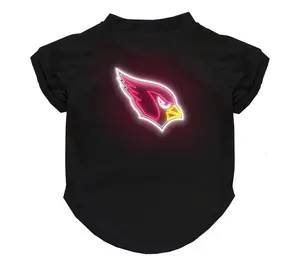 Littlearth NFL Neon Pet T-Shirt