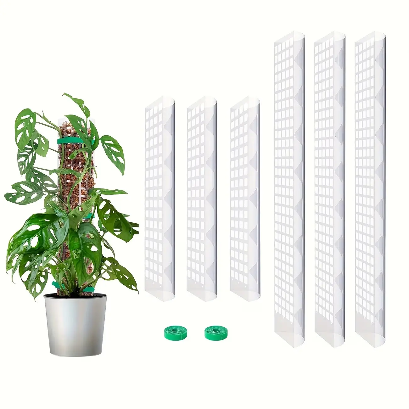 6-Pack Plastic Moss Stakes, 3x15 Inch & 3x24 Inch Versatile Sizes Plant Support Rods, Self-Watering Moss Stakes for Bamboo Plants, Stackable Design Climbing Plant Supports, Plant Stakes for Indoor Plants