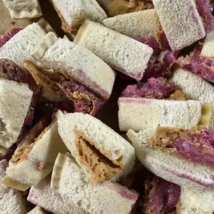 Freeze Dried GRAPE UNCRUST-WITT-ABLES Peanut Butter and Jelly Bites Snack - TikTok Viral - LARGE BAG - Astronaut Candy