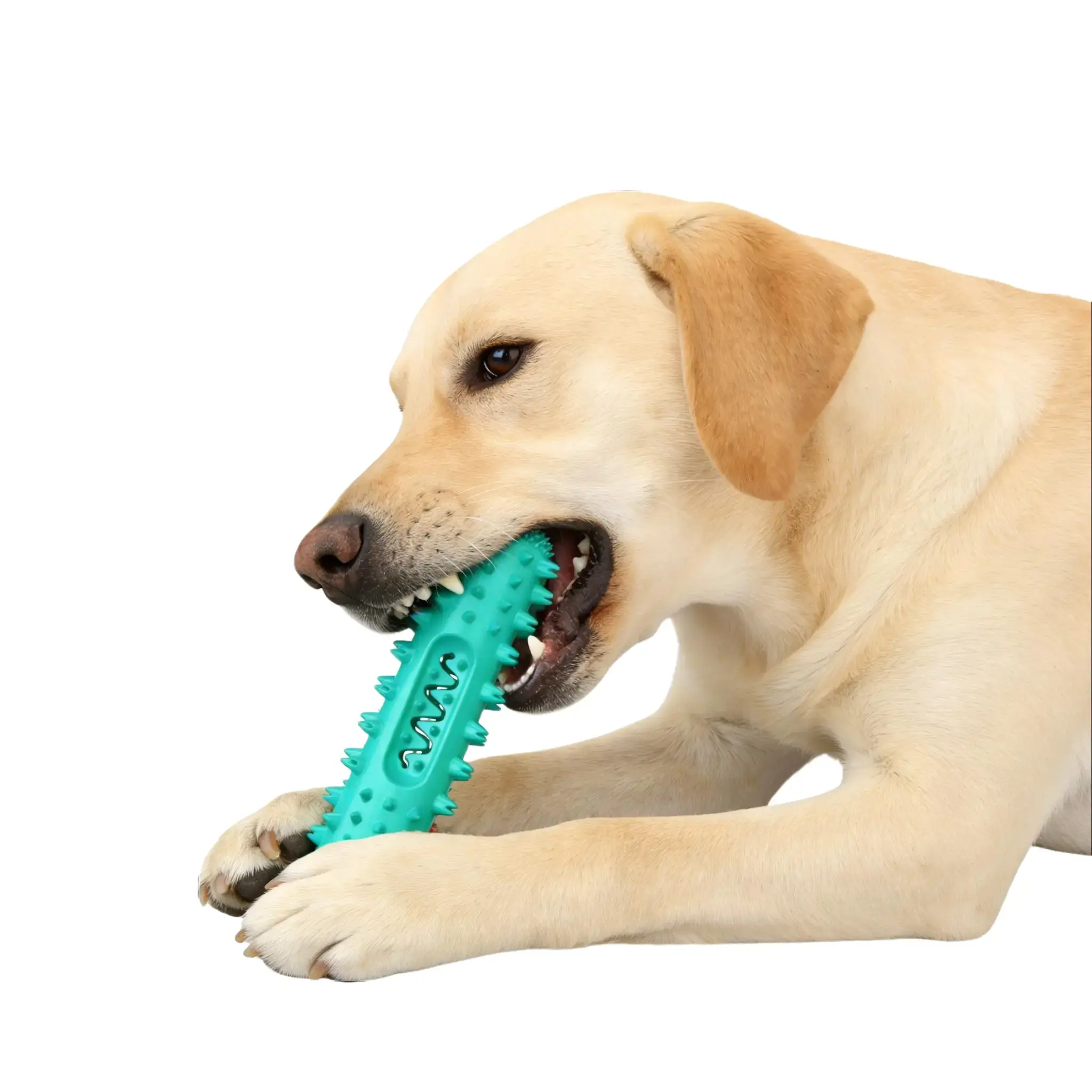 Dog Toothbrush Chew Toy - 360° Teeth Cleaning Dental Stick for Small/Medium Dogs, Soft Natural Rubber Toy with Toothpaste Slot, Plaque Remover for Oral Care