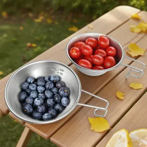 Portable 304 Stainless Steel Bowl, Multi-Functional for Outdoor & Daily Use