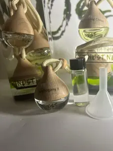 NDST Hanging Car Air Diffuser