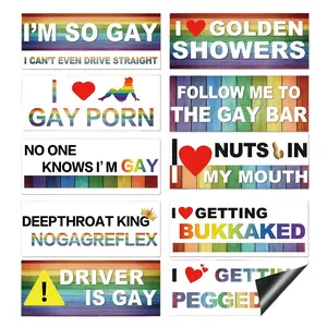 10PCS Magnetic Bumper Stickers for Car, Funny Rainbow LGBT Stickers, Reusable Prank Bumper Magnets Decal for Car SUV Truck Motorcycle