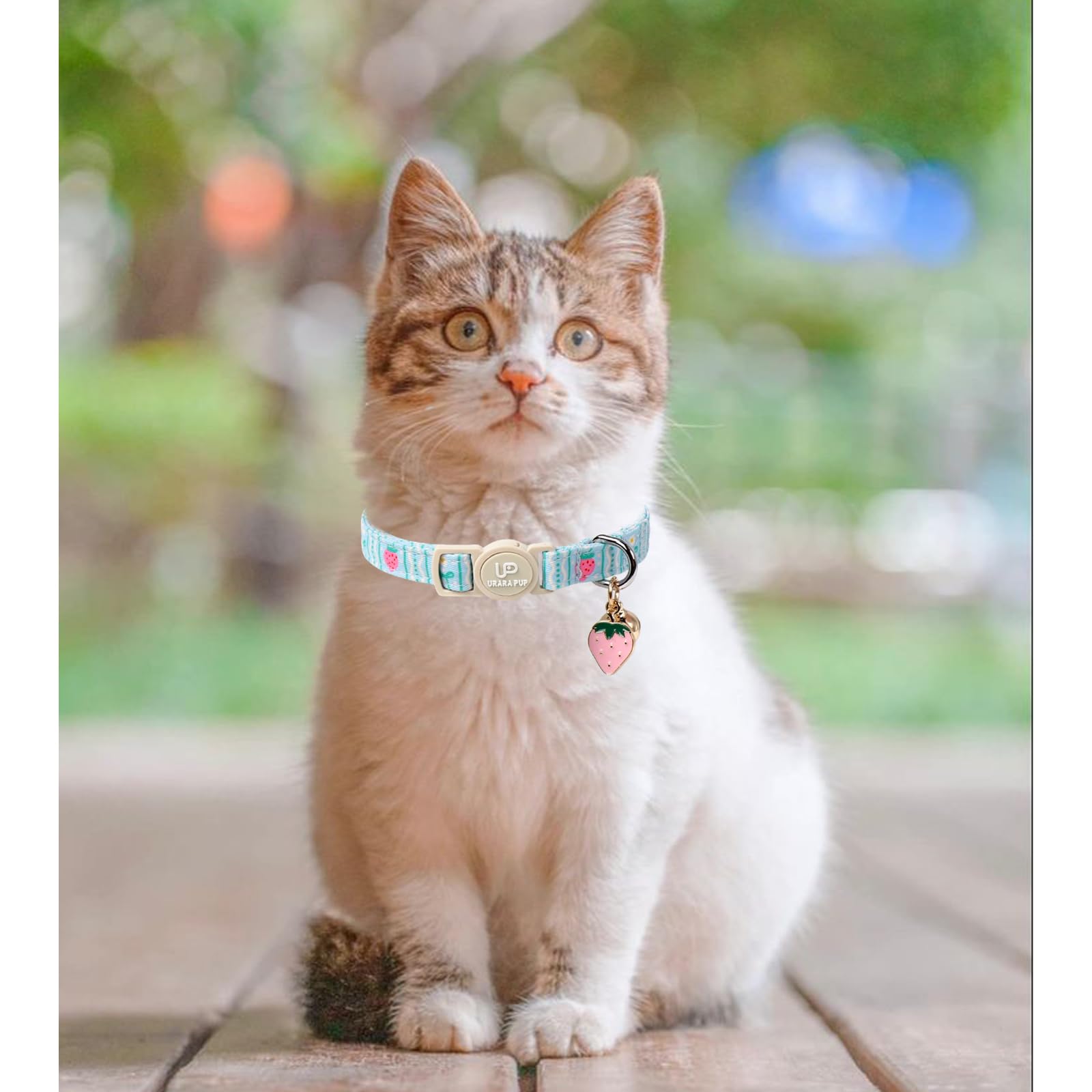 UP URARA PUP 2 Pack Breakaway Cat Collars with Bell, Adjustable Strawberry & Daisy Print Lightweight Cat Accessory for Girl Boy Cats