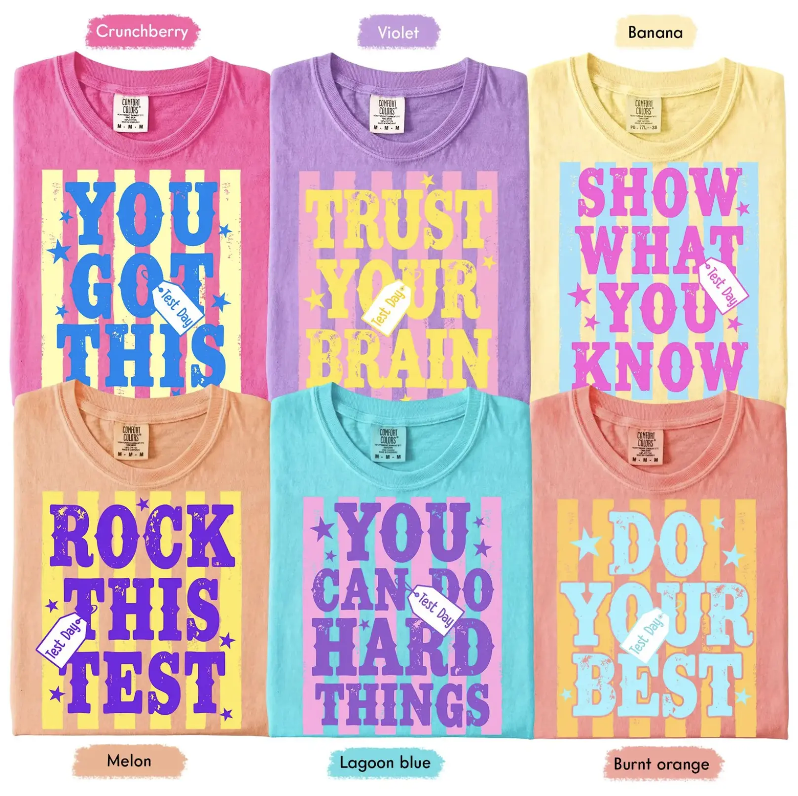 Custom Striped NeonTest Day TShirt, Comfort Colors, Matching State Testing Shirts, Teacher Team Shirts, School Testing Day Tee, Testing Coordinator Tee