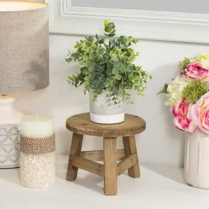 Wooden Mini Stool Display Rack, 1 Count Modern Wooden Succulent Plant Stand, Multifunctional High Stool for Balcony, Yard & Home Decor, Rustic Wooden Planter
