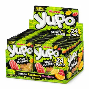 Sour Candy Jelly Fruit Gummies, 24 Pack (2.3 oz Each) – Sour Fruit Snacks, Candy Variety Pack, Lemon Raspberry Mandarin, Bulk Candy, Soft Chewy Candy for Parties and Sharing