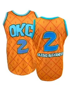 Men Women Embroidered OKC 2 Basketball Jersey, Breathable Pineapple Print Retro Sports Shirt for Daily Wear and Parties, Training Shirt, Embroidered Basketball Jerseys