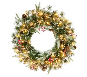 Puleo Pre-Lit 24" Decorated Christmas Wreath with 50 Lights