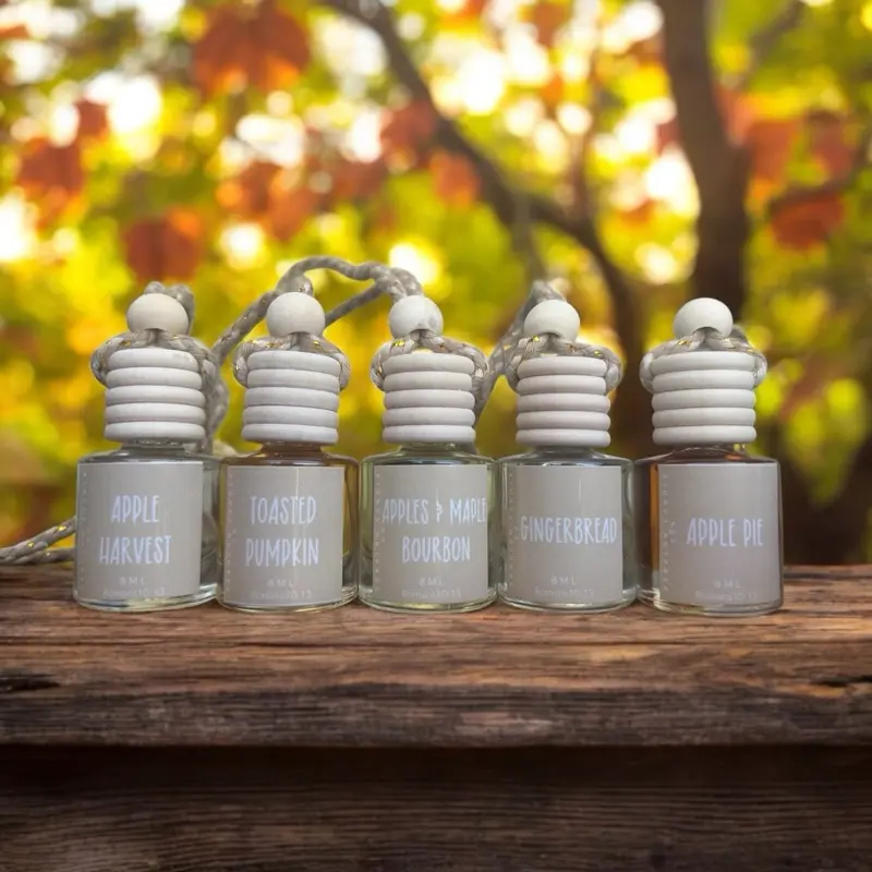 Fall scented car diffusers