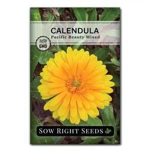 Pacific Beauty Mixed Calendula