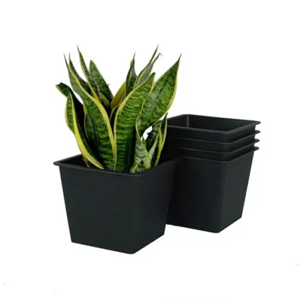 Square Plastic Nursery Pots with Drainage Holes, 6.3-Inch, Set of 5