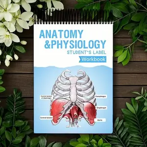 Anatomy Label Workbook, Skeleton Body Structure Diagram, Educational Supplies for Nursing Students Learning, 1 Piece, Ideal for Medical Education