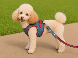 Step-In Denim Harness