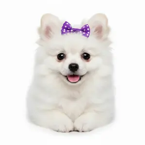 30PCS Handmade Dog Hair Bows with Rubber Band – Cute Pet Hair Accessories for Dogs & Cats