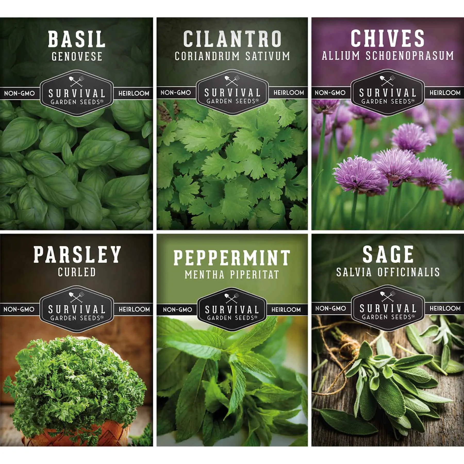 Hydroponic Herb Seed Collection