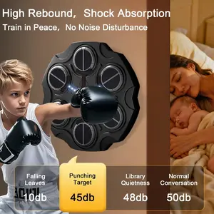 Music Boxing Machine with Gloves, Bluetooth Wall Mounted Punching Bag Target Pad with Rhythm Lights, 3 Modes,Sport Toy Gift