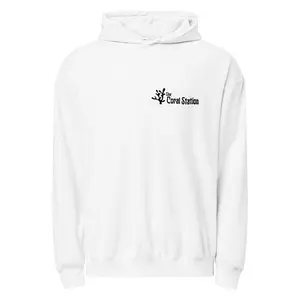 Unisex garment-dyed lightweight hoodie