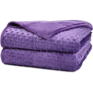 Weighted Blanket, Luxury Velvet Weighted Blankets for Kids, Warm and Breathable Soft and Comfort Minky, Cute Heavy Blanket with Premium Glass Beads (41"x60" 7LBS, Purple)
