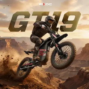 RIXOC GT19 Electric bike, PEAK 3000W, 52V 31.2Ah Removable Battery, 40MPH Top Speed, Hydraulic Brakes,Perfect Gift for Adults Teens