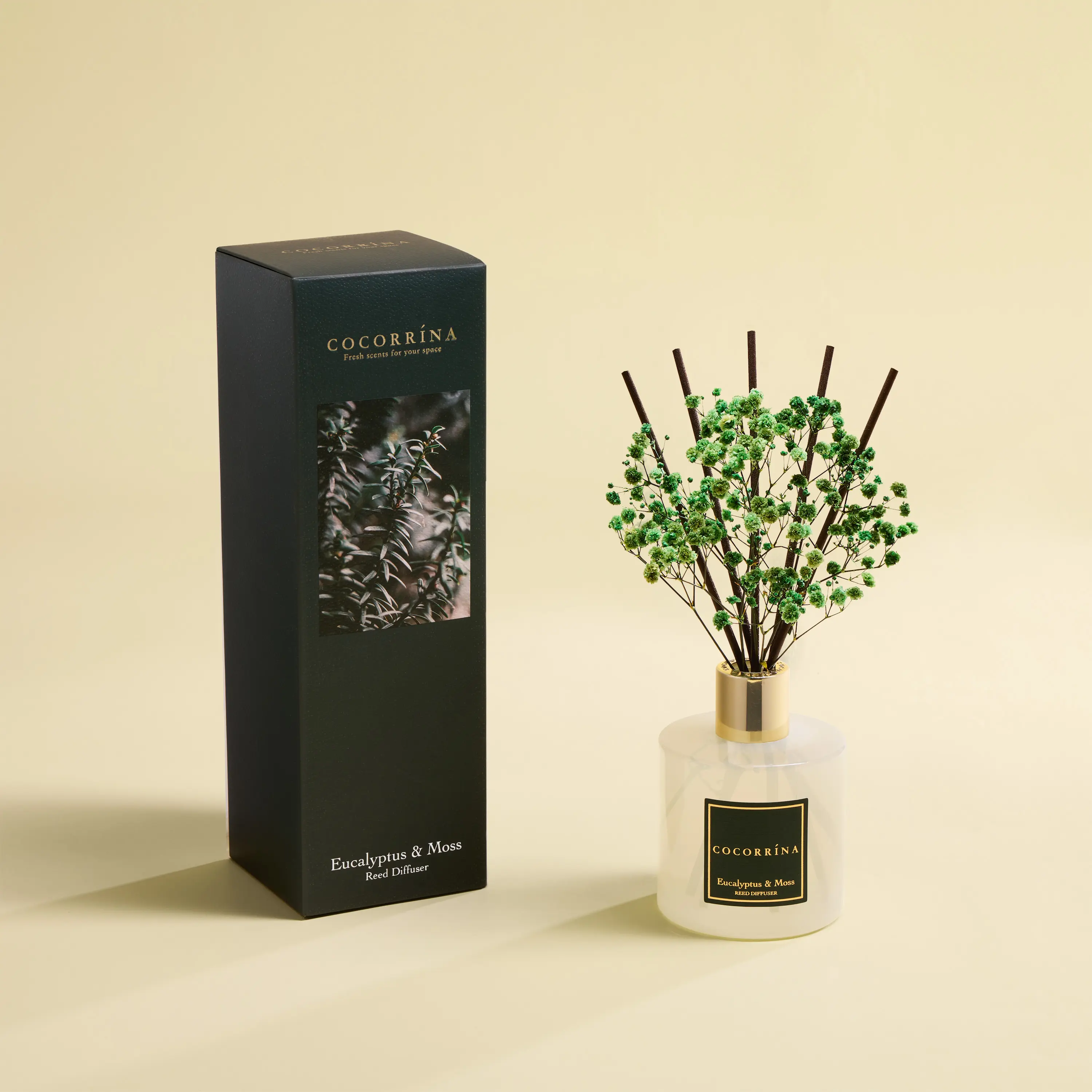 Cocorrína Reed Diffuser Sets- Eucalyptus & Moss Scented Diffuser with Sticks Home Fragrance Reed Diffuser for Bathroom Shelf Decor