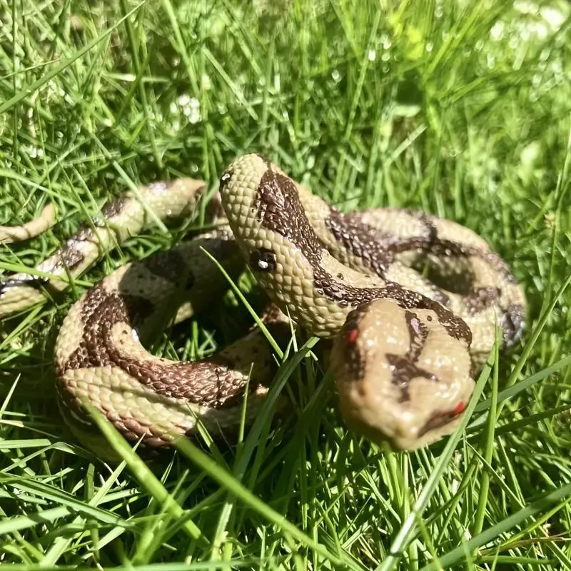 Realistic Large Python Model, Lifelike Wildlife Specimen for Collectors & Education, Perfect for Halloween Christmas Thanksgiving Animal Decorations