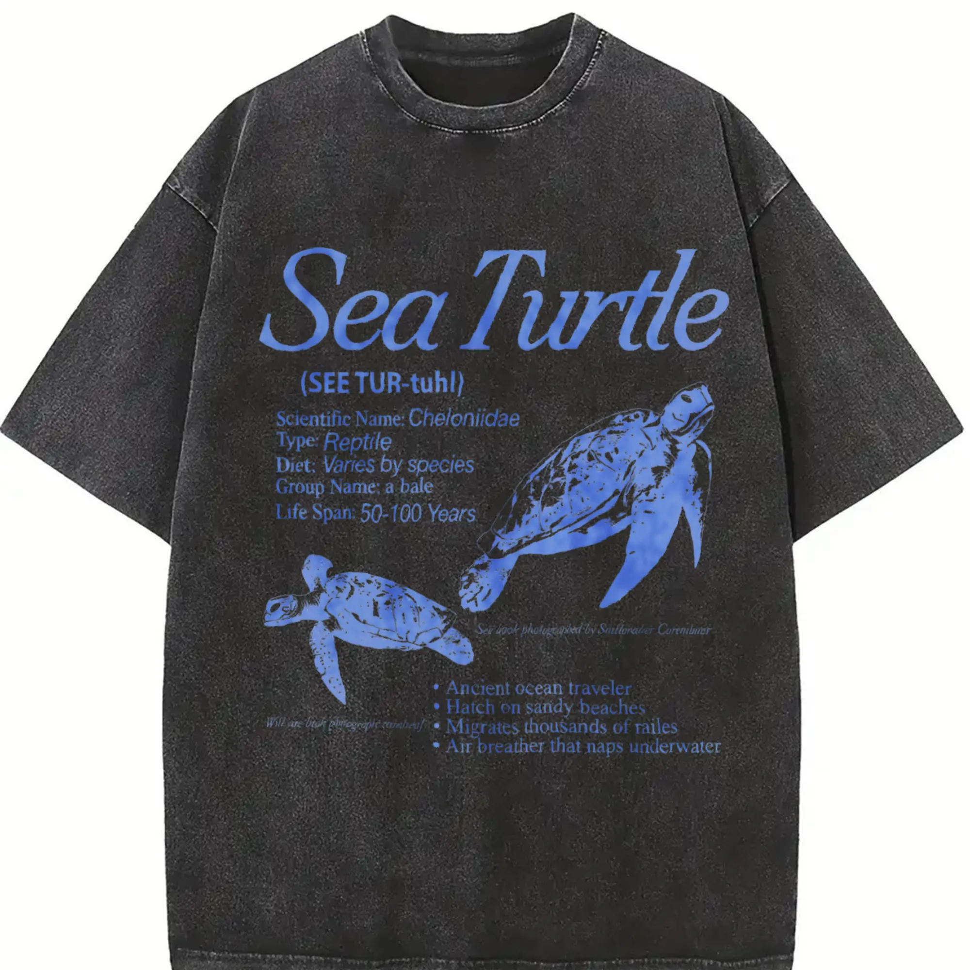 Sea Turtle Vintage 90s Graphic T-Shirt, Retro Ocean Animal Tee, Marine Life Biology Shirt, Beach Lover Gift, Y2K Aesthetic Nature Top