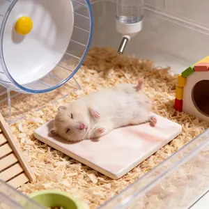 Hamster-Specific Cooling Pad, Chew-Proof and Tip-Resistant, Easy to Clean, Summer Cooling Mat, Small Pet Cage Decoration Accessory, Hamster Cage Habitat, Enclosure, Hamster Cage Accessories