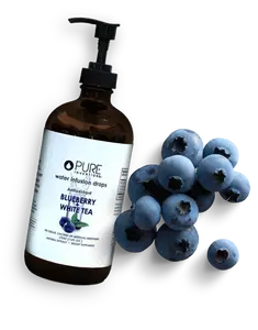 Blueberry + White Tea Family Size - 500 servings