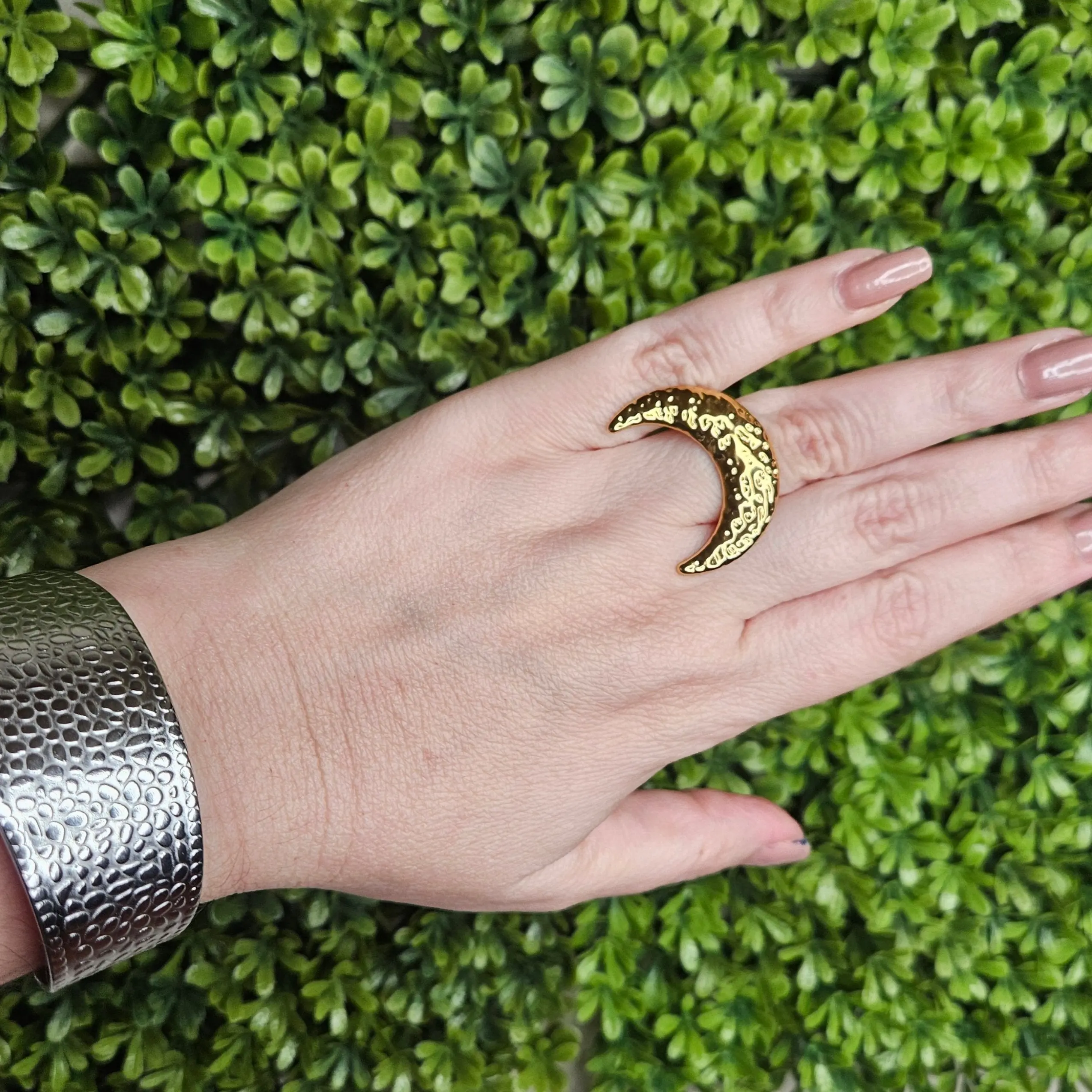 Anillo CRESY