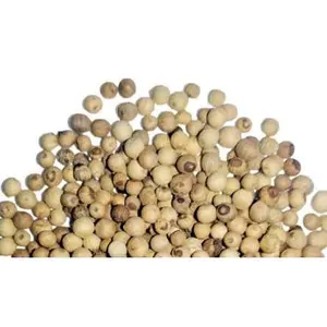 White Peppercorns | Poivre de Penja | Penja White Pepper | Piper nigrum Seed | 8.8 oz Pack | Premium Quality Spice