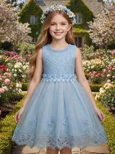 Toddler Girl's Appliques Faux Pearl Decor Contrast Sequin Tulle Fit and Flare Dress, Elegant Bow Back Sleeveless Zipper Back Party Dress for Performance Wedding Guest, Kids Clothes for All Seasons