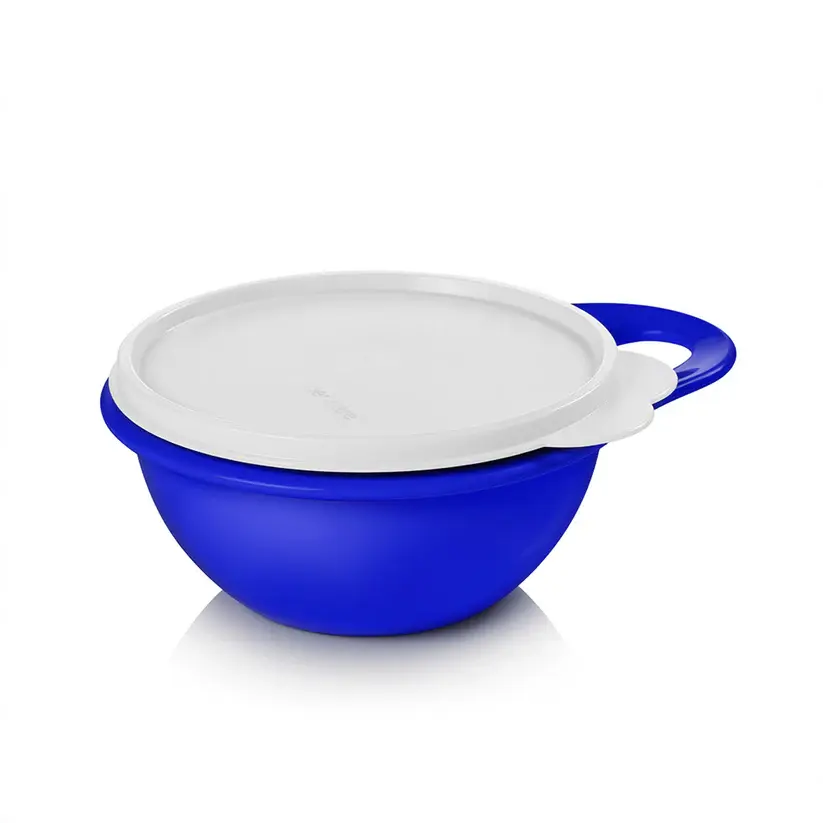 Tupperware Thatsa Extra Mini 2 1/2 cup bowl with airtight, leakproof lid Plastic Set