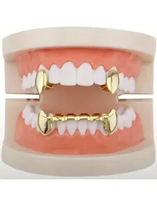 Fashion Hip Hop Style Teeth Grillz for Women & Men, Casual Trendy Tiger Tooth Jewelry, Fashion All-match Accessories for Party