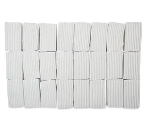 Sculpey Clay White - 24 lb