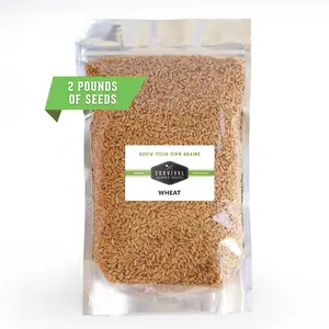 Wheat Seed - Bulk Pack