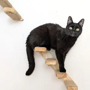 Cat Wall Climbing Shelves Four Step Cat Stairway with Sisal Rope Ladder Scratching for Kitten Perch Platform Walls Furniture Home