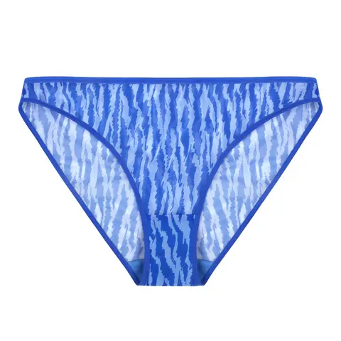 HSIA Zebra Wild Sexy Sheer Mesh Panty Mid Rise Bikini Briefs For Women Soft Breathable Half Coverage Underwear Stretch Waistband Stay In Place Panties