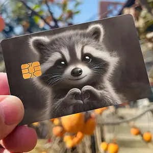 Adorable Gray Raccoon Credit Card Sticker, DIY Sticker Used for EBT, Transportation, Keys, Credit Cards, Debit Cards, Card Skins, Protect Bank Cards, No Bubbles, High Quality, Suitable for Small Chip Cards