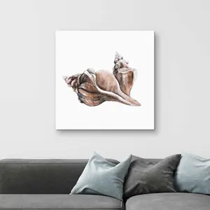 Begin Home Decor C1RC323250NXVD 32 x 32 in. Coral Horse Conch Seashells Canvas - Neutral Marine Decor