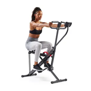 Sunny Upright Row-N-Ride Exerciser
