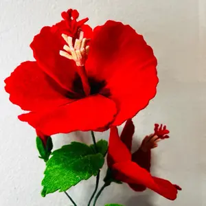 Red Hibiscus Flower Snack - Vibrant Red Petals with Green Leaves for Aesthetic Appeal