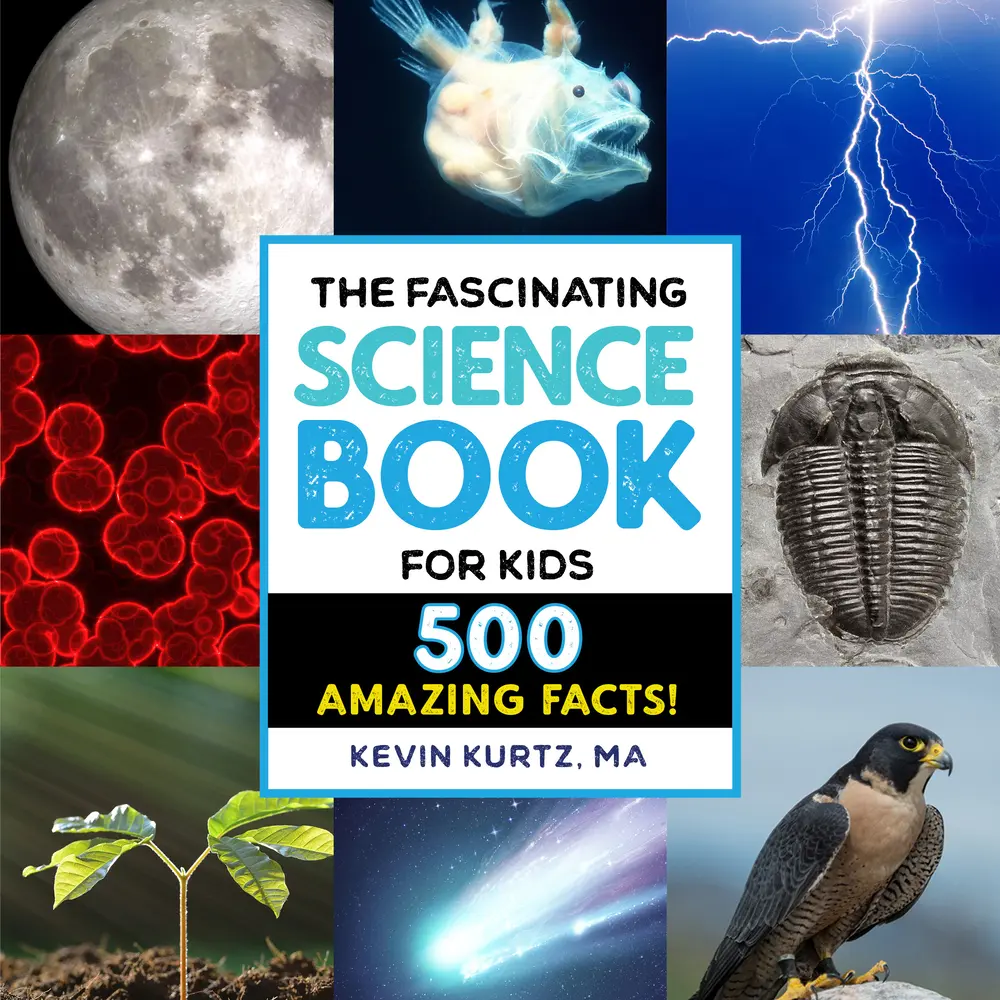 Used Paperback Book - The Fascinating Science Book for Kids (Human, Prehistoric, Power, Astronomy, Minerals Focus) - 500 Amazing Facts by Kevin Kurtz, Ma - English (School & Educational Office Stationery Supplies)