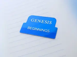 Blue Transparent Bible Tabs with Gold Letters Books of the Bible English Bible Tabs Peel and Stick Christian Book Themes