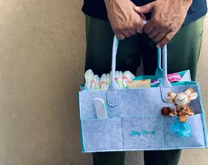 Baby Pooch Diaper Caddy