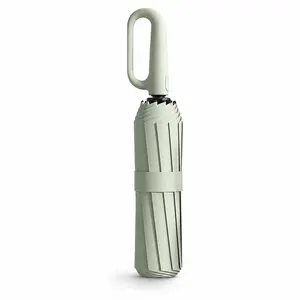 Automatic Folding Travel Umbrella, 10-Rib Mini Pocket Umbrella, Upf 50+ UV Protection, Lightweight Rain and Sun Umbrella, One-Button Open