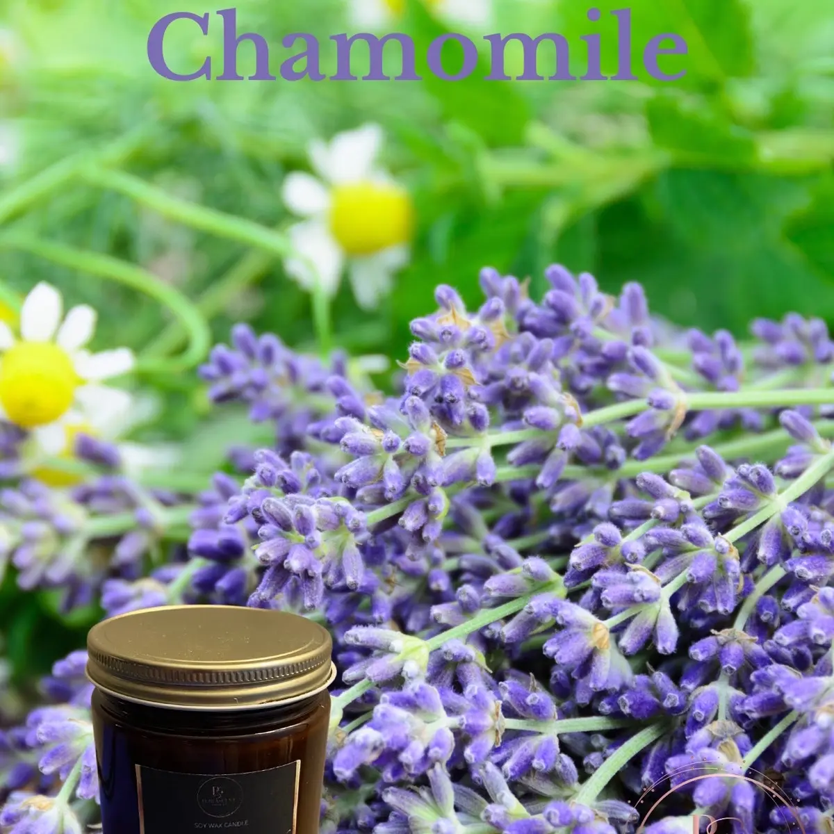 Lavender Chamomile Scwnted Soy Candle