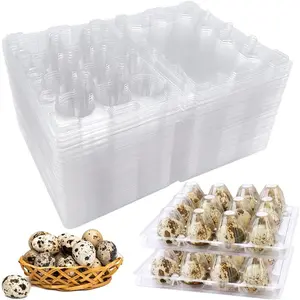 Plastic Quail Egg Cartons 50 Pack of 12 Grids Small Carton Holders for Quail Pheasant Pigeon Eggs Storage