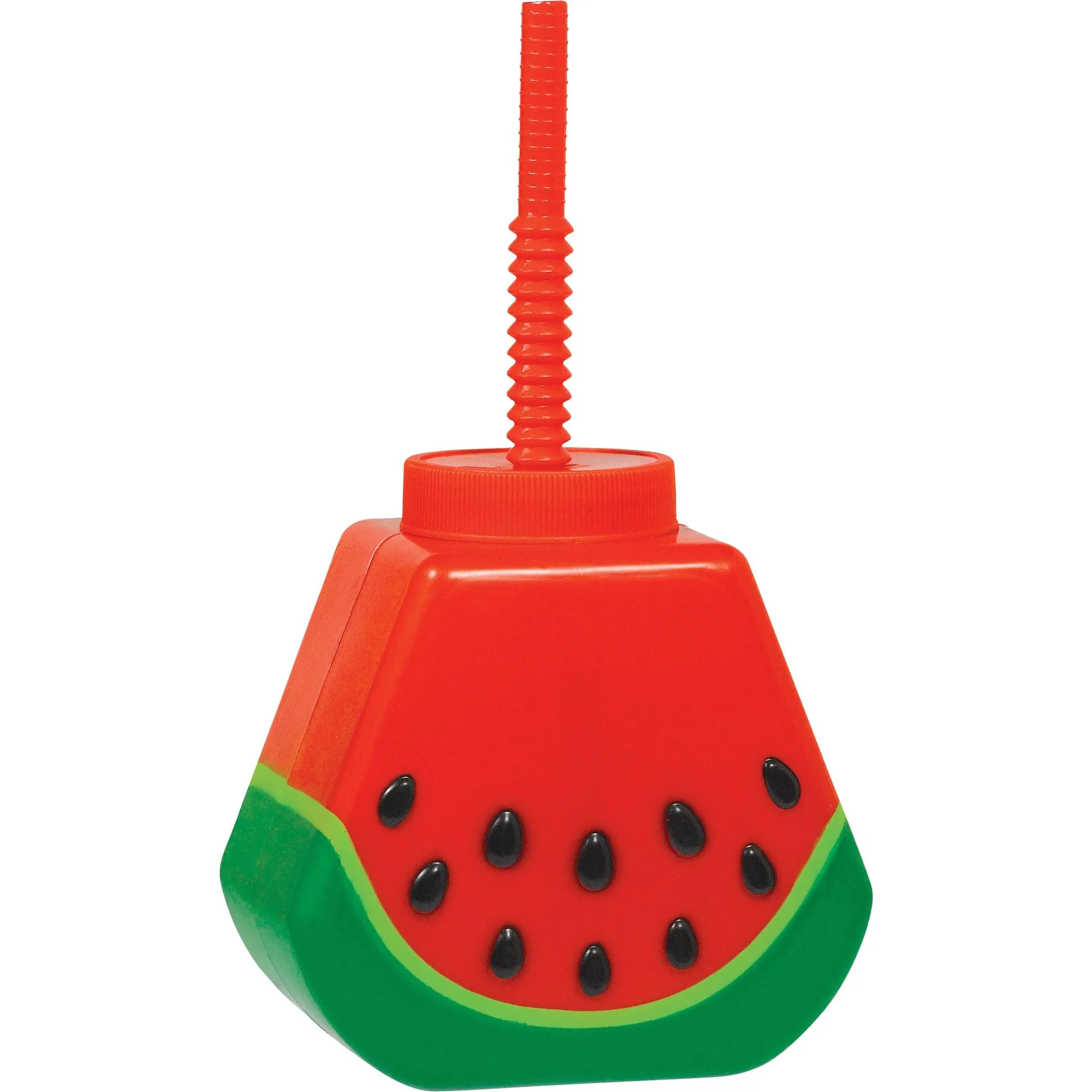 Watermelon Sippy Cup with Straw - Fun Summer Drinkware
